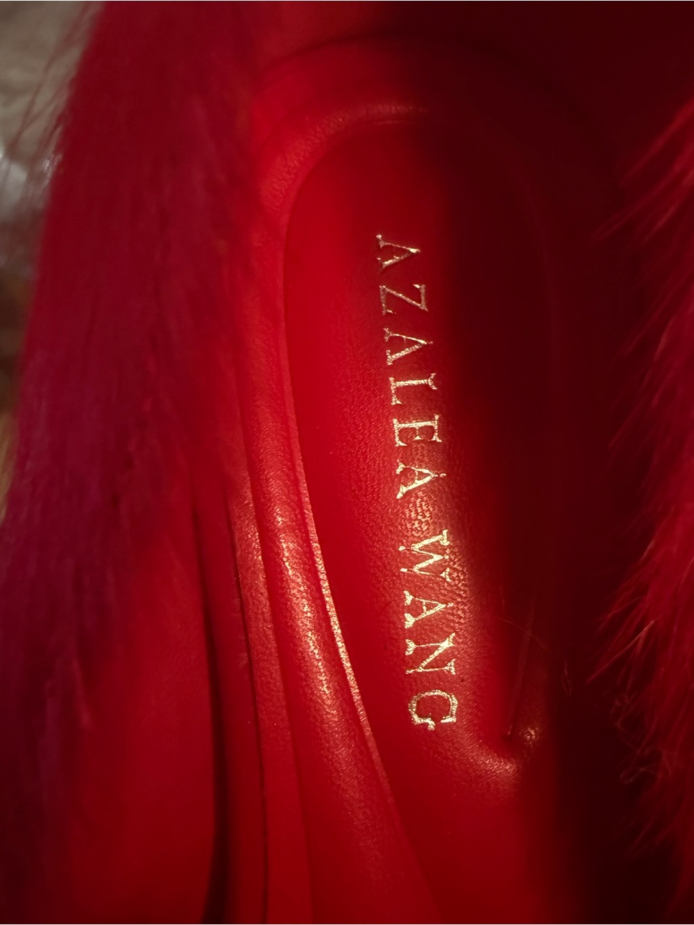 Azalea Wang NWT Stunning Red Dyed Cow Fur Pointed Toe Stiletto Pumps (SH411) - Picture 9 of 11